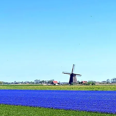 Het Zomerhuis Hotel Limmen